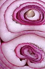 Image showing Red Onion Background