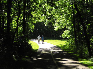 Image showing Morning Walk