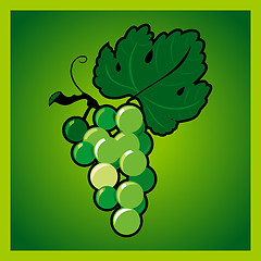 Image showing Green grape bunch