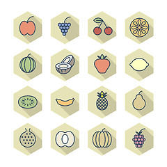 Image showing Thin Line Icons For Fruits