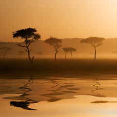 Image showing Sunset in Massai Mara