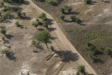 Image showing Zambia