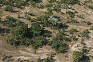 Image showing Zambia