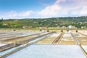 Image showing Natural park Secovlje Salina, Slovenia.