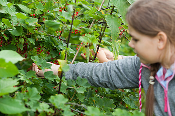 Image showing Children in the garden