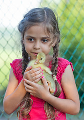 Image showing Little girl with gosling