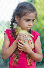 Image showing Little girl with gosling