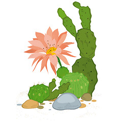 Image showing Hand drawn cactus blooms