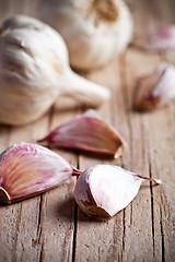 Image showing fresh garlic