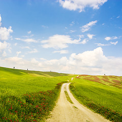 Image showing Country Road