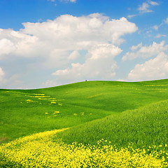 Image showing Flowered Landscape