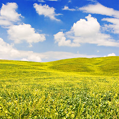 Image showing Flowered Landscape