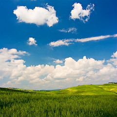 Image showing Flowered Landscape