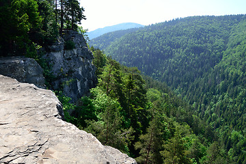 Image showing Cliff