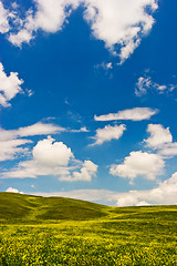 Image showing Flowered Landscape