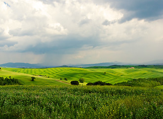 Image showing Tuscan Landscape