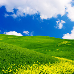 Image showing Flowered Landscape