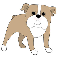 Image showing English Bulldog