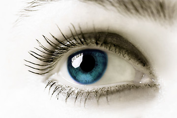 Image showing Blue Eye