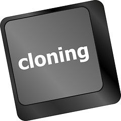 Image showing cloning keyboard button on computer pc