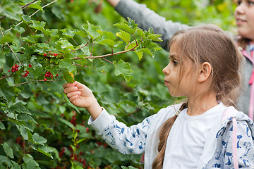 Image showing Little girls in the garden