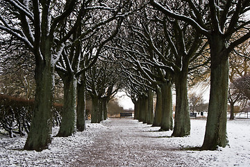 Image showing Frozen Path