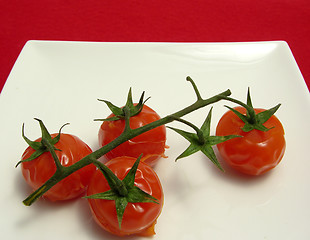 Image showing Steamed vine tomatoes on a  twig arranged on a white plate