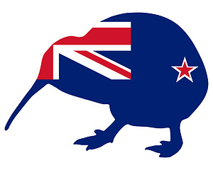 Image showing New Zealand kiwi