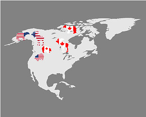 Image showing North Americas animals