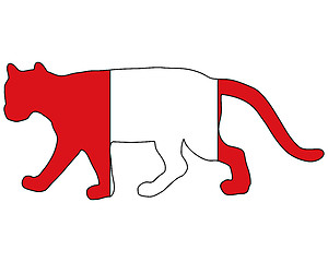 Image showing Cougar Peru