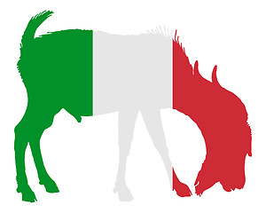 Image showing Italian he-goat