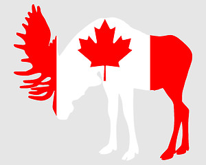 Image showing Mosse in flag of canada