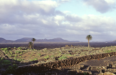 Image showing Lanzarote