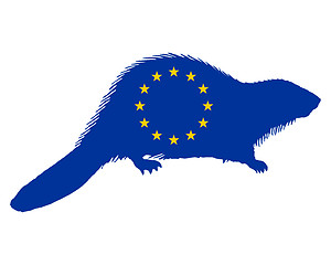 Image showing European beaver