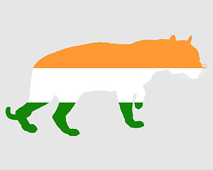 Image showing India tiger