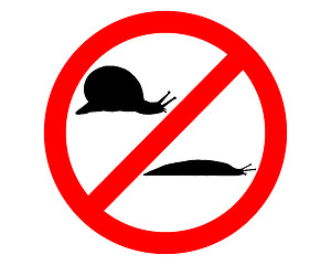 Image showing Prohibition sign for slugs