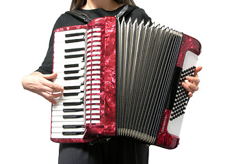 Image showing Cutout with a woman playing accordion on white