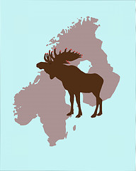 Image showing Elk with christmas caps on its antlers in Scandinavia