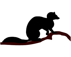 Image showing European Pine Marten silhouette