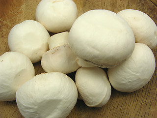 Image showing White  mushrooms on a brown wooden plate