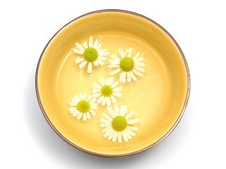 Image showing Camomile blooms swim in the water of a  ceramic bowl