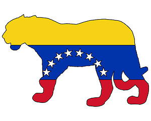 Image showing Jaguar Venezuela