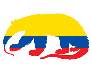 Image showing Anteater  Ecuador
