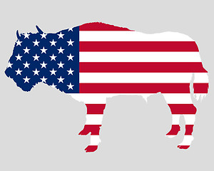 Image showing Buffalo in stars and stripes