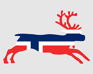 Image showing Norwegian reindeer