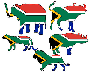 Image showing Big Five South Africa 