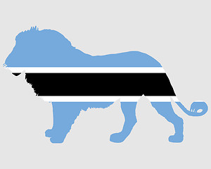 Image showing Lion Botswana