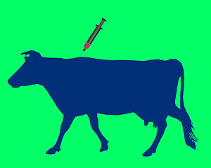 Image showing Cow gets an inoculation against blue tongue disease