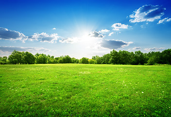 Image showing Green grass and trees