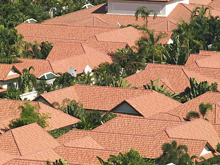 Image showing Red rooftops